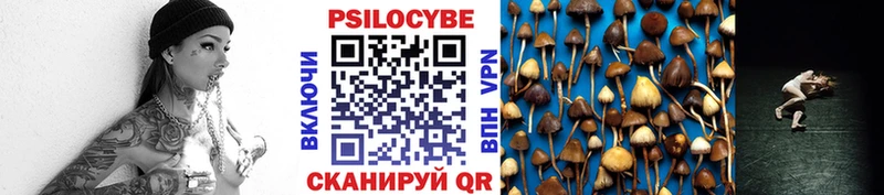 Галлюциногенные грибы Magic Shrooms Богородск