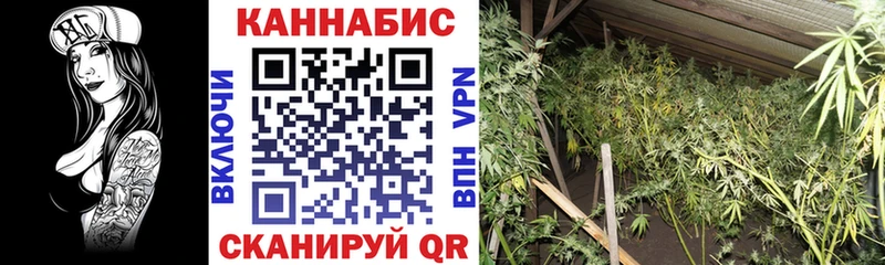 Конопля ГИДРОПОН  Богородск 